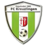 Away Team Flag