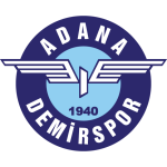 Home Team Flag