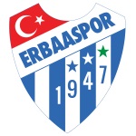 Home Team Flag