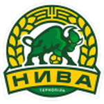 Home Team Flag