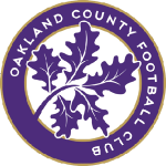 Home Team Flag