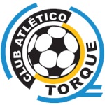 Home Team Flag