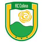 Home Team Flag