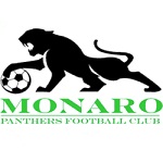 Home Team Flag