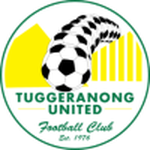 Away Team Flag