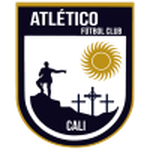 Home Team Flag